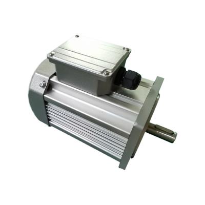 China Car Forklift Dc Motor Elektricitet Motor Marine Brushless Dc Motor For Electric Vehicle for sale