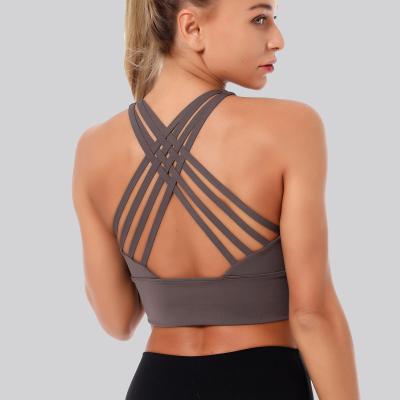 China Breathable Straps Women Yoga Gym Multicolor Crop Bra Crop Top Back Woven Bra for sale