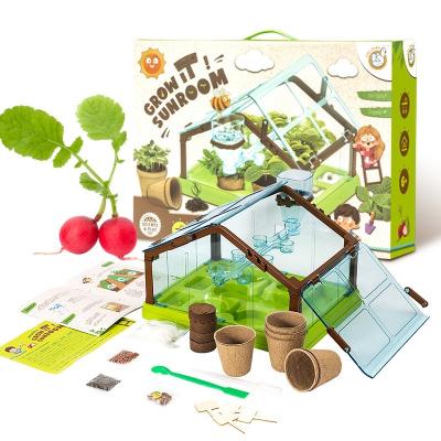 China STEM teaching aids scientific irrigation system Doll House Irrigation System Toys Mini Sunshine Plant Room Plant Observation Box Set for sale