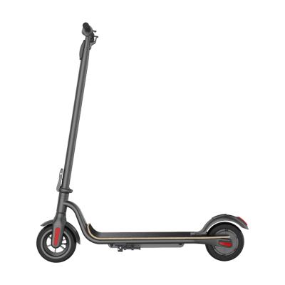 China Good production line of child electric scooter and adult electric scooters 500w electric scooter moped for sale