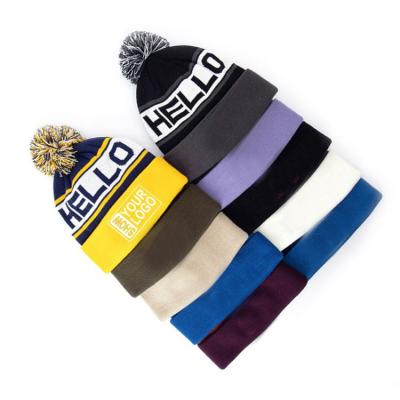 China COMMON Unisex Jacquard Comfortable Winter Sports Beanie Knitted Hats for sale