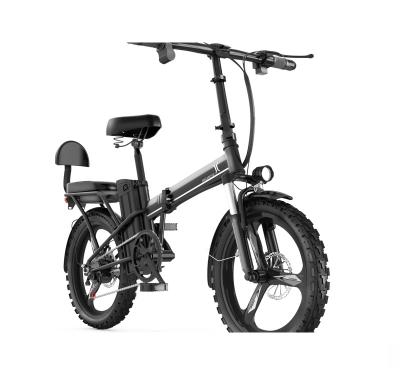 China > 18 years direct selling price 48v 200w electric bike hot selling ort times factory customized f8120 20 high quality for sale