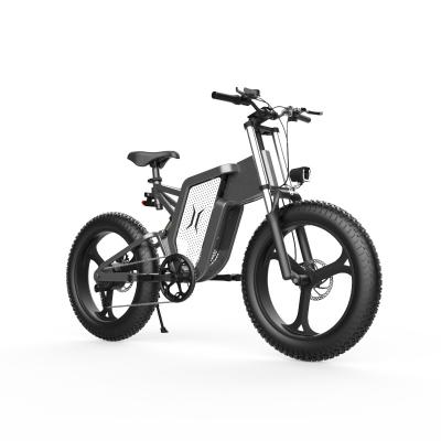 China Aluminum alloy lithium battery electric bicycle 20 inch fat tire ebike motor 350W 48V motor electric bicycle for sale