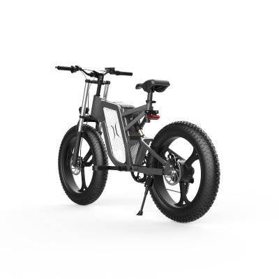 China hot selling fat tire 1000w e-bike/new speed aluminum alloy electric bicycle for sale for sale