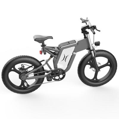 China Aluminum Alloy X20 Disc Brake Electric Bicycle 1000W Motor Battery E Bike Fat Tire Road City Ebike for sale