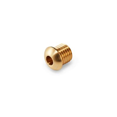 China Pan Dongguan Factory Make For Screw Customized High Quality Cheap Brass Screw Nut Cnc Lathe Screw Parts Prices for sale