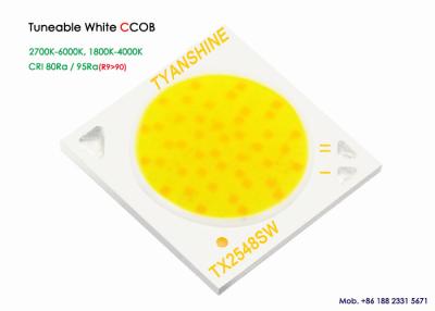 China LM-80 COB Tunable White LEDs  CRI 80 90 95 Smart Lighting 2700K-5700K 1800K-3000K for sale