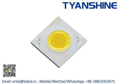 China 36V Bi-color COB LED CRI90 , 12W Tunable White COB LED 2800K-6500K LM-80 for sale