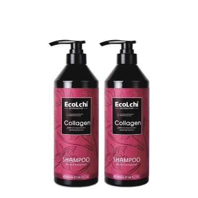 China Hair Loss Care ECOLCHI Professional Hair Repair Color Smoothing Collagen Keratin Shampoo and Conditioner for sale