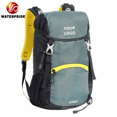 China Fashion Custom Travel Bag Backpack High Quality Large Large Outdoor Sport Travel Hiking Bags for sale