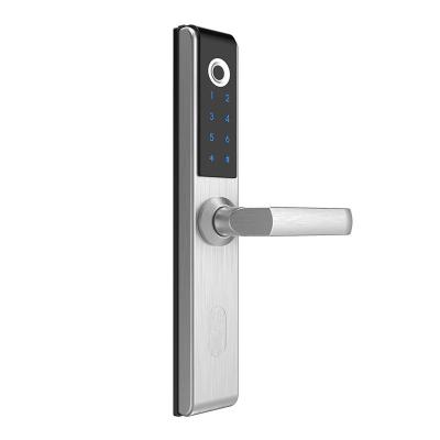 China Smart Biometric Stylish Stainless Steel Electric Push Sliding Door Fingerprint Lock for sale