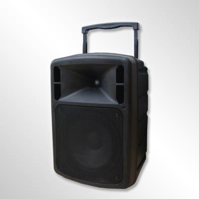 China Portable HOME THEATER Pull Rod 12 Inch Subwoofer Trolley Speaker Box with MP3/WMA Te koop