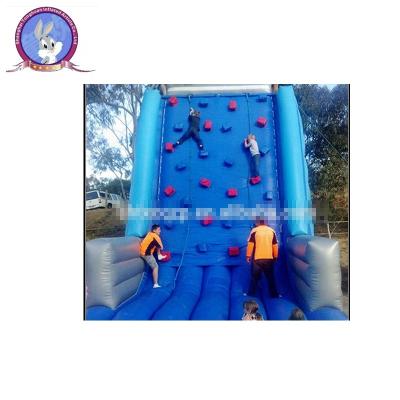 China Inflatable Rock Climbing wall/ inflatable adventure climbing sports for sale