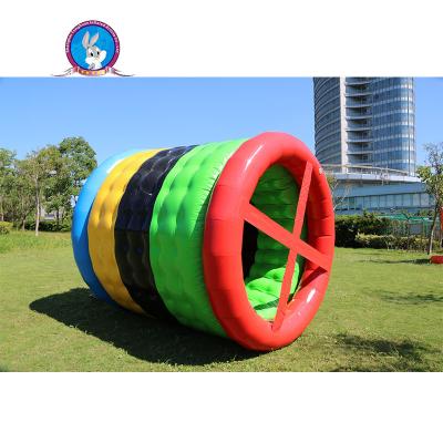 China Plastic Water Walking Ball human sized hamster ball human hamster inflat water wheel for sale