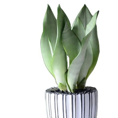 China Real Snake Sansevieria Plant Sansevieria Artificial Succulent Succulent Plants Desktop Plants Fresh Environmental Wholesale Decoration for sale