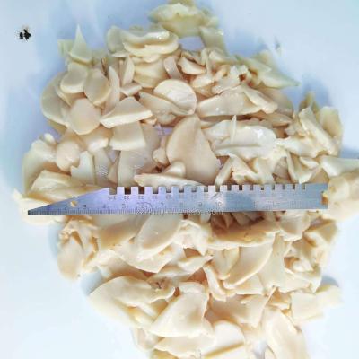 China Canned Lower Price Canned King Oyster Mushroom for sale