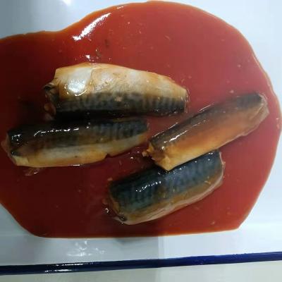 China Canned canned mackerel in tomato sauce 155G, 425G for sale