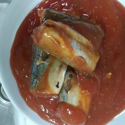 China Best brand canned canned mackerel exporting canned mackerel per 425g fresh in brine for sale