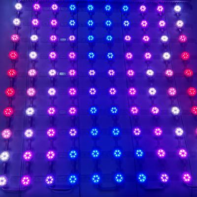 China Customized Flexible LED Pixel Screen for Outdoor Building Background for sale