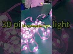 19.6lm Lamp Luminous Flux RGB 3D Christmas Lights DC12V For Building Lighting