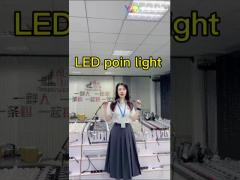DMX512 Control Method LED Linear Point Light for Exterior Wall Street Building Lighting IP65 Rated