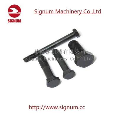 China Clip Bolt for Rail Fishplate, Railway Fasteners Hex Head Bolt for sale