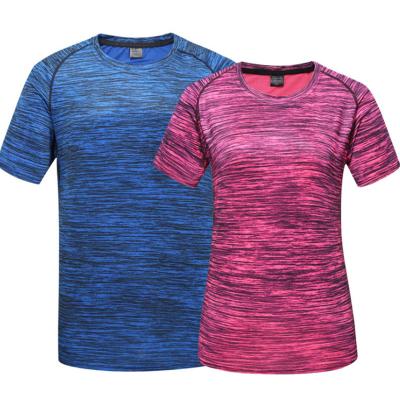 China Breathable Mens Womens Tees Wholesale Custom Short Sleeve Breathable Sport Breathable Bodybuilding Gym T-shirt Running Sport Tops for sale