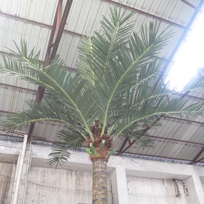 China Large Bend Eco - Friendly Artificial Coconut Tree For Outdoor Hall Street Decoration for sale