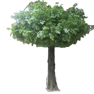 China Giant Big Ficus Tree Artificial Banyan Tree Eco - Friendly Artificial Garden Home Decoration for sale