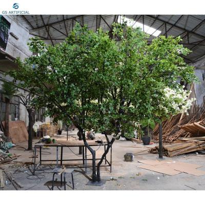 China Eco - Friendly Artificial Tree Artificial Indoor Polyscias Leaves Tree For Home Decor for sale