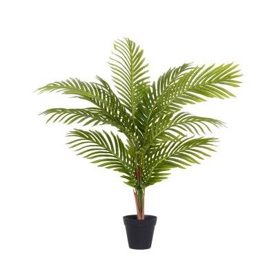 China GS03-08001A Eco-friendly wholesale factory price shadow kwai fishtail palm dypsis lutescens for sale