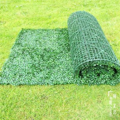 China Eco-friendly Free Size Artificial Boxwood Hedge Mat And Plastic Grass Roll For Garden Landscape for sale