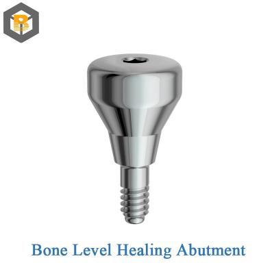 China Custom 2D/3D Dental Implant Abutment Screw Hexagon External for Professional Dental Lab for sale