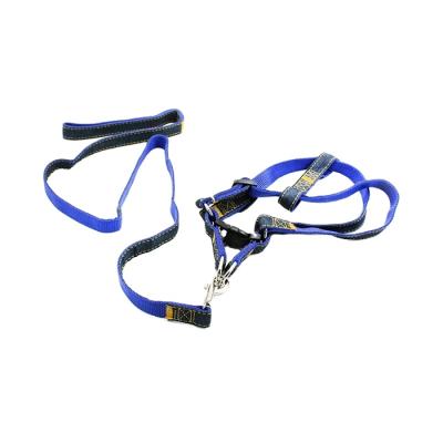 China Sustainable Adjustable Dog Collar Leashes With Harness, Dog Leash Harness for sale