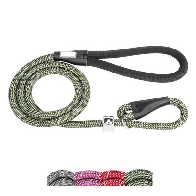 China Amazon Best Seller Nylon Rope Heavy Duty Durable Climbing Pet Lead Thoughtful Dog Leash for sale