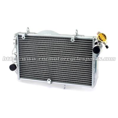 China Light Weight Aluminum Motorcycle Radiators For HONDA CBR1000XX Blackbird for sale