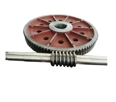 China High Strength Custom Worm Gears Shaft Large Worm Gear OEM Available for sale