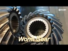 oem service steel worm gear used in industrial machinery high strength