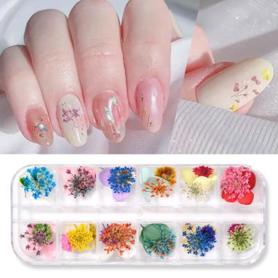 China New Design Environmental Protection Colorful Natural Dry Flower Nail Art DIY Decoration Mixed 12 Grids Set Nail Dry Flower for sale