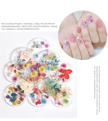 China Mixed Japanese natural dry nail 12 color beautiful natural dry nail accessories environmental protection DIY flower nail accessories decoration eternal flowers for sale