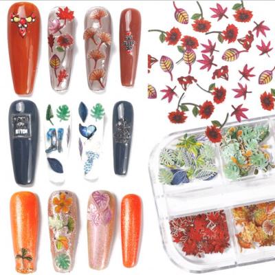 China Environmental protection maple leaf wood 240 maple leaf nail paste colorful handmade three-dimensional nail paste for sale