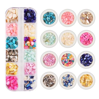 China Japanese environmental protection nail accessories color irregular natural nail shell abalone fragment nail shell pieces for sale