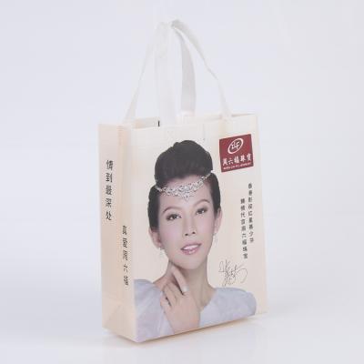 China Reusable Customizable Eco - Friendly Non Woven Shopping Bag For Promotion Promotional Bag for sale