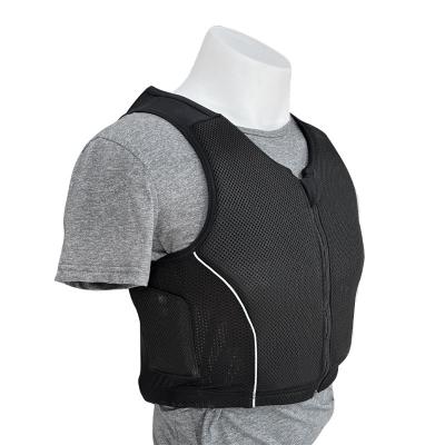 China Ervaar de ultieme bescherming met ons professionele EVA-padded paardvest Te koop