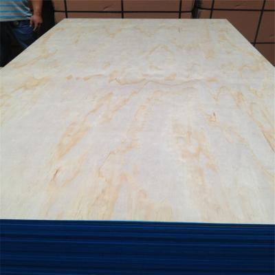 China Cheap and price okume triplay 3.2mm/4mm triplay and pine modern pine plywood first class for sale