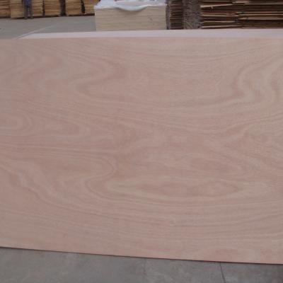 China Modern high quality plywood covers 15mm Okoume plywood and commercial plywood for sale