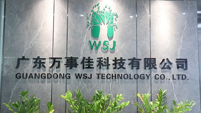 Verified China supplier - Guangdong Wsj Technology Co., Ltd.