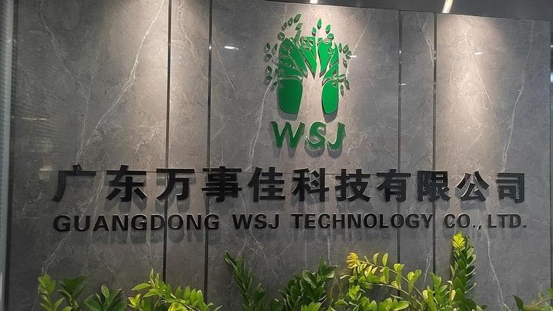 Verified China supplier - Guangdong Wsj Technology Co., Ltd.