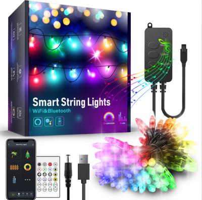 China High Brightness Wifi BLE Google Home Alexa Led Fairy Strings Lights Waterproof IP65 Indoor Outdoor String Lighting for sale