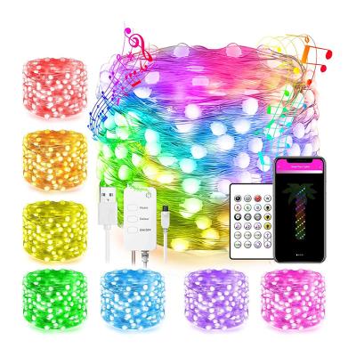 China Home Fairy String Lights Decorations USB Charging Dimmable WIFI BLE Multi Modes Copper Twinkle Lights GRB LE TDC Smart Led String Lights for sale